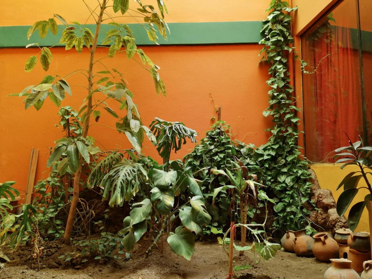 Olas Del Titicaca Backpackers Hostel Копакабана Экстерьер фото